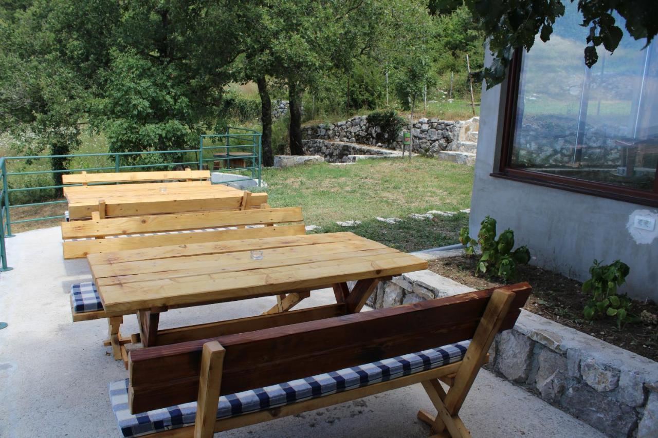 Forest Apartments Kotor Extérieur photo
