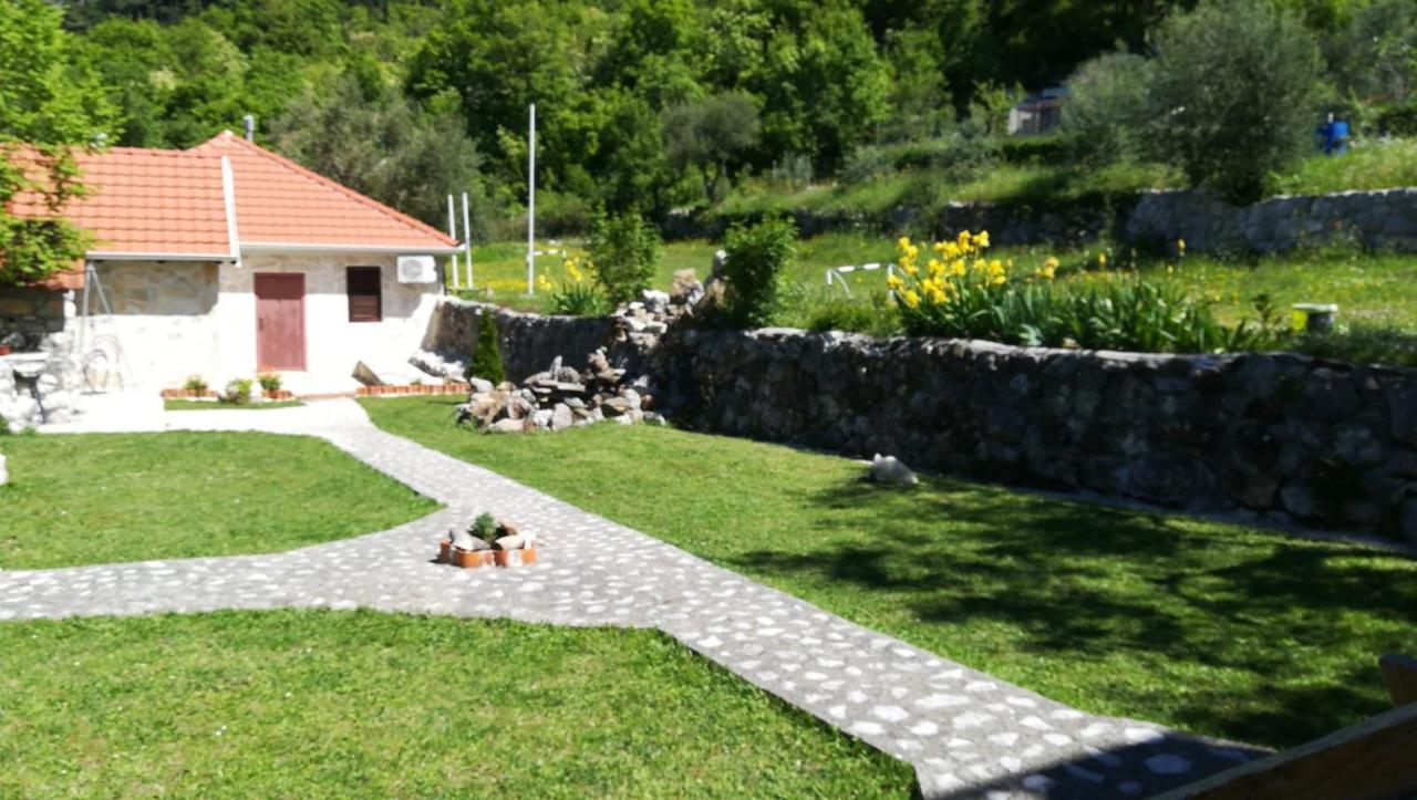 Forest Apartments Kotor Extérieur photo